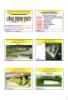 Bài giảng Công trình thủy: Chương 5 - PGS.TS. Nguyễn Thống